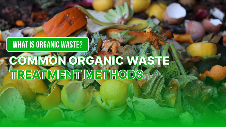 What is organic waste? Common organic waste treatment methods