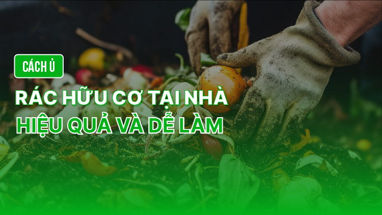 Cách ủ rác hữu cơ tại nhà hiệu quả và dễ làm