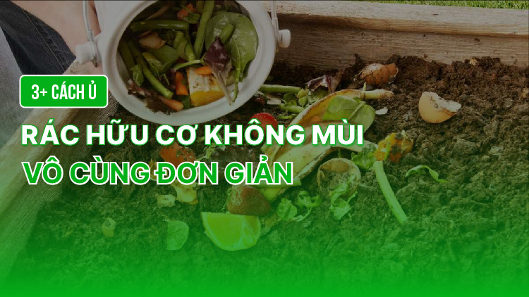 3+ Cách ủ rác hữu cơ không mùi vô cùng đơn giản