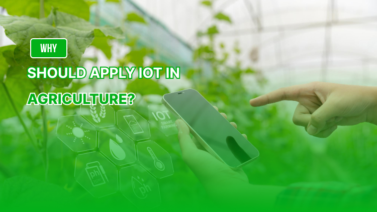 Why should I apply IoT in agriculture?