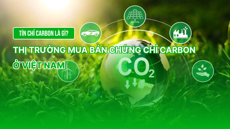 Tín chỉ Carbon là gì? Thị trường mua bán chứng chỉ carbon ở Việt Nam