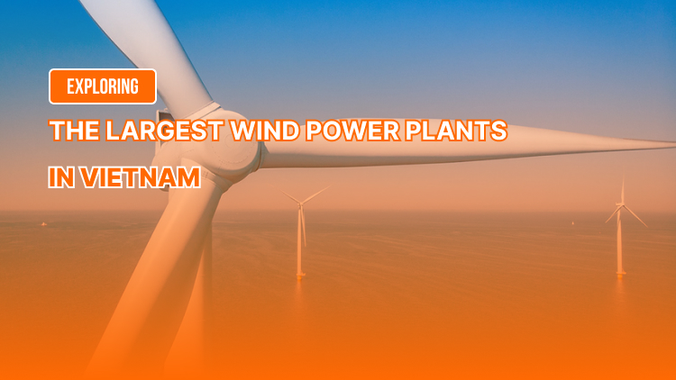 Exploring the Largest Wind Power Plants in Vietnam