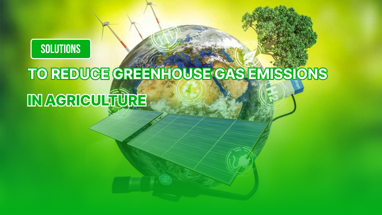 Solutions to Reduce Greenhouse Gas Emissions in Agriculture